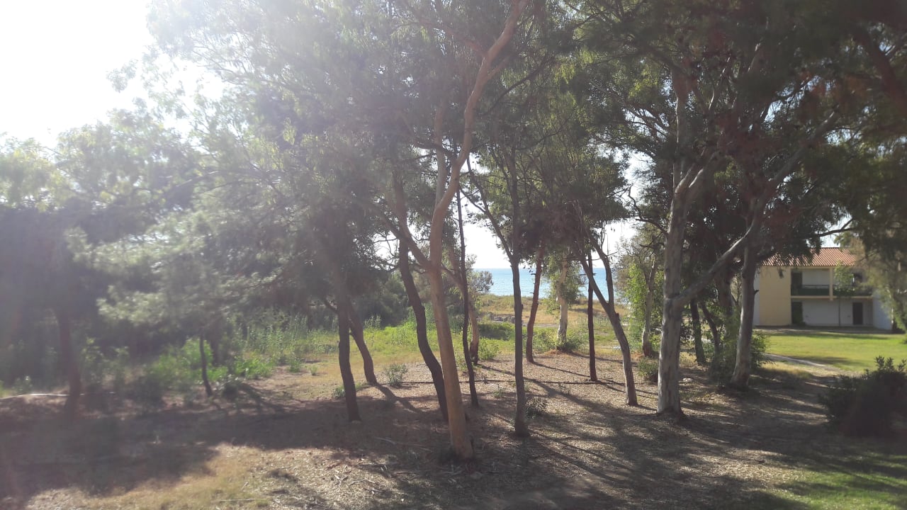 Zimmer Domes Aulūs Zante, Autograph Collection