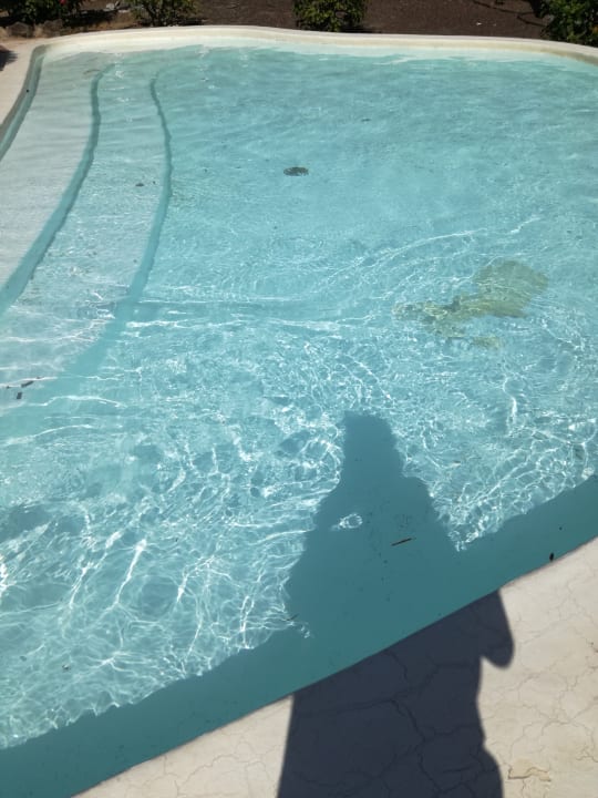Pool SBH Fuerteventura Playa