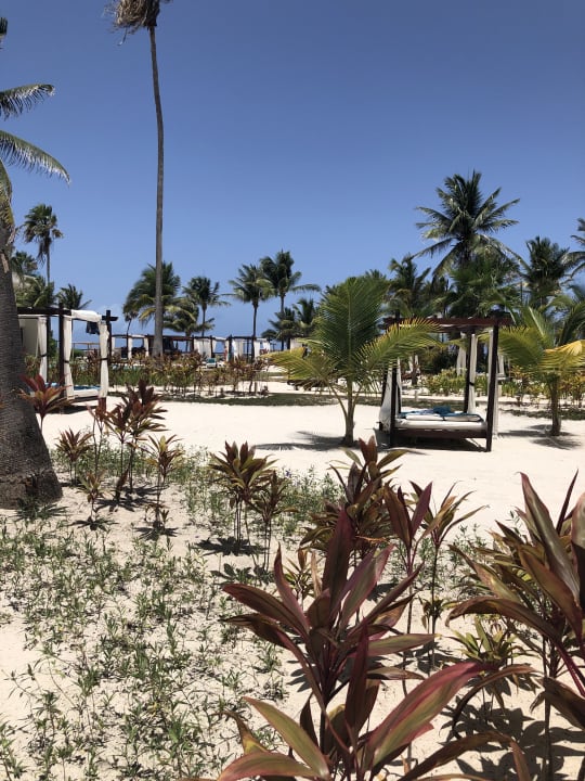 Garten Akumal Bay Beach & Wellness Resort