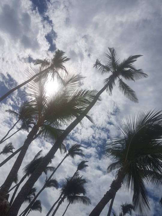 Immer bewölkt Grand Palladium Punta Cana Resort & Spa