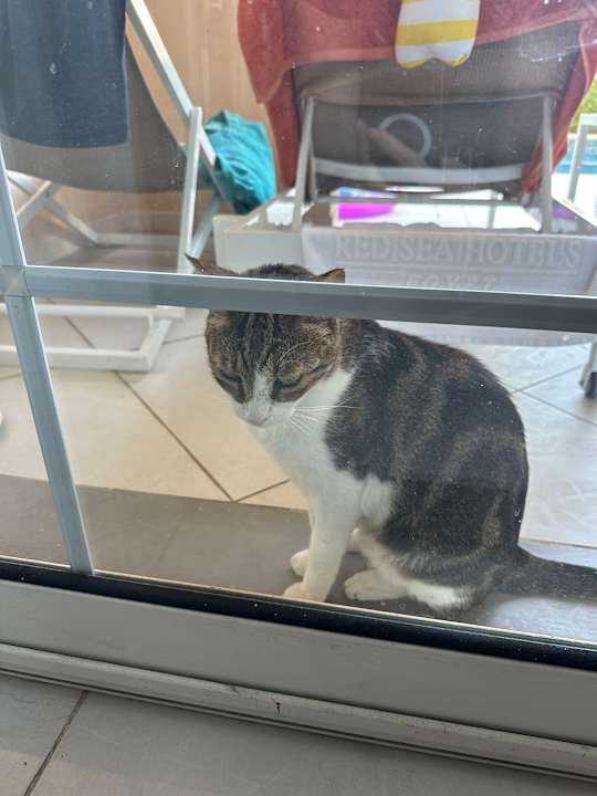 Zimmer The Grand Palace - Adults only