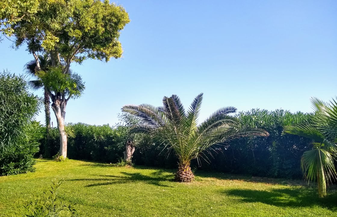 Gartenanlage Club Turtas Beach Hotel