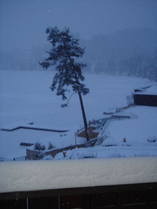 Garten und Titisee im Winter Treschers Schwarzwald Hotel
