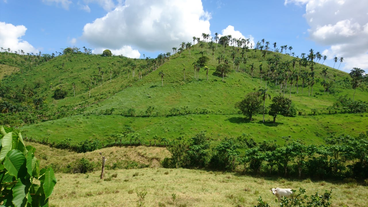 Ausblick Villas Bavaro Resort & Spa