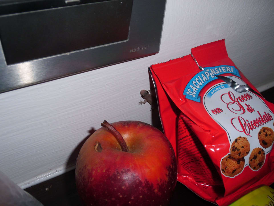 Besucher La Flora Khao Lak