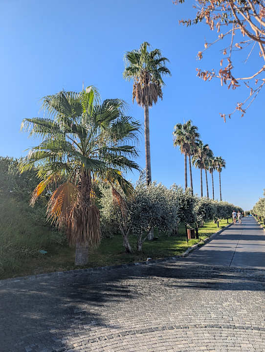 Ausblick Liu Resorts