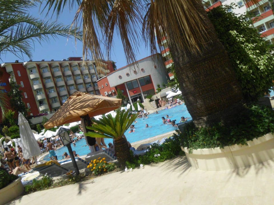 Der Pool war immer bestens belegt   Saphir Hotel & Villas