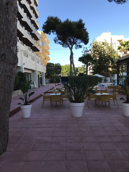 Sonstiges Club Can Bossa