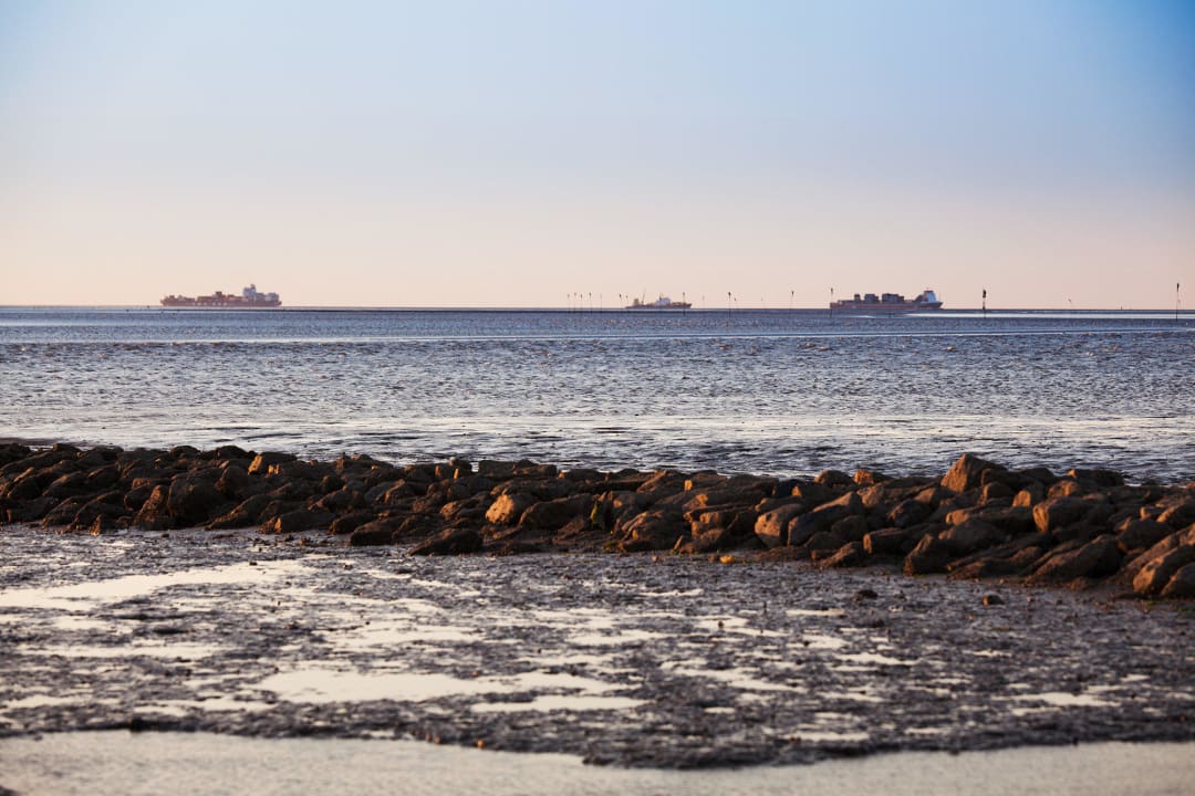 Watt Pension Hus Achtern Diek