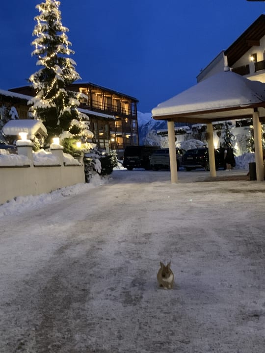 Außenansicht Alphotel Tyrol