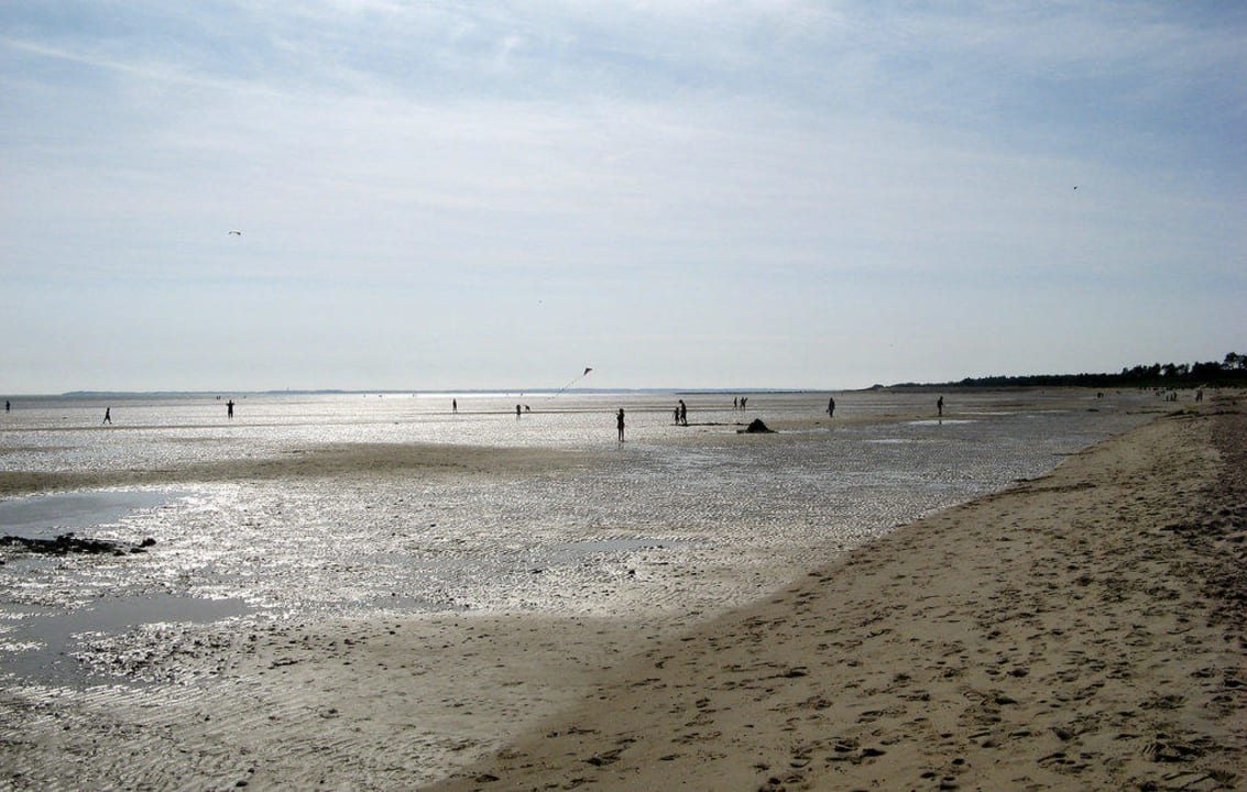 Der Nordsee-Strand bei Ebbe Halligblick, FeWo Nr. 10