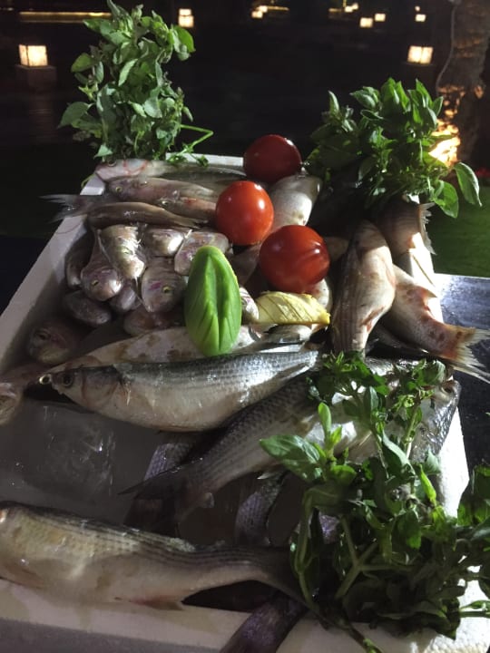 Gastro Pickalbatros Aqua Park Resort - Hurghada