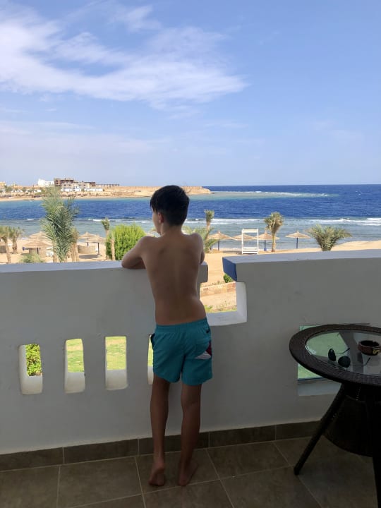 Zimmer Coral Sun Beach