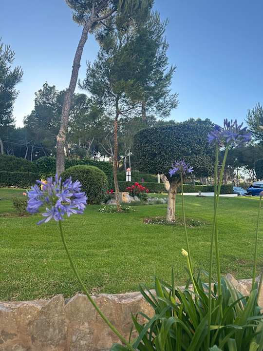 Gartenanlage Grupotel Aguait Resort & Spa - Adults only