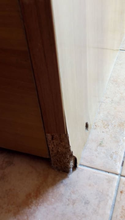 Kinderbed Hotel Arabela Beach