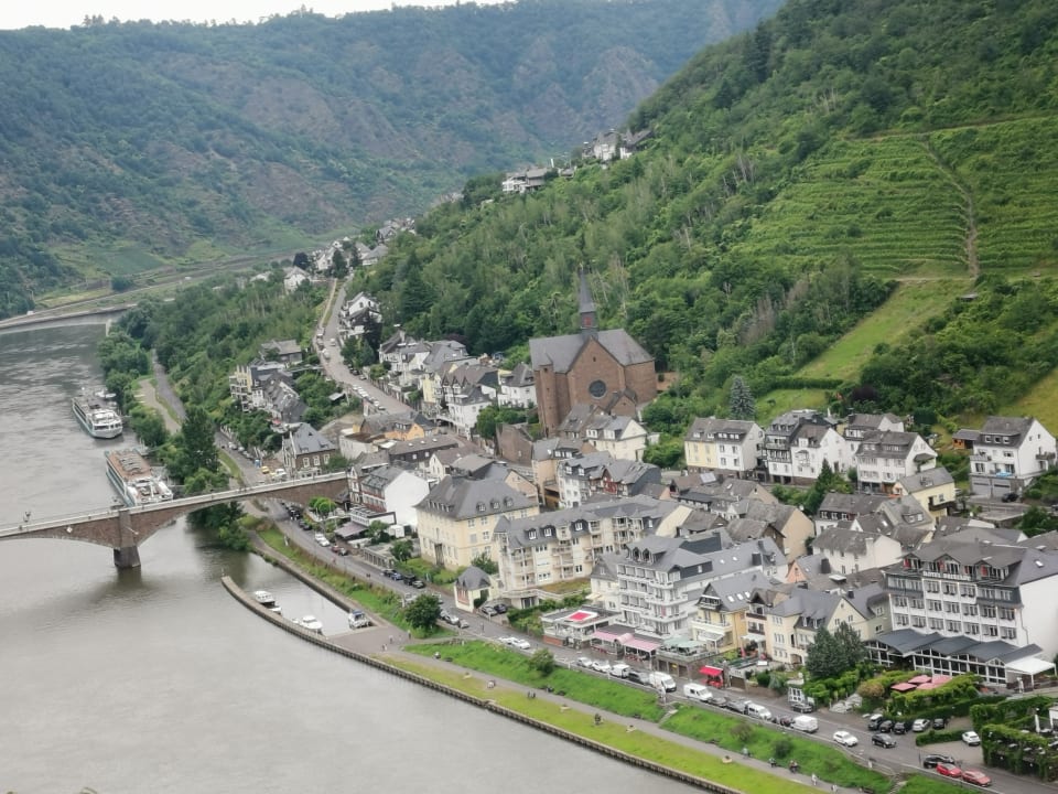 Ausblick Moselstern Hotel Brixiade & Triton