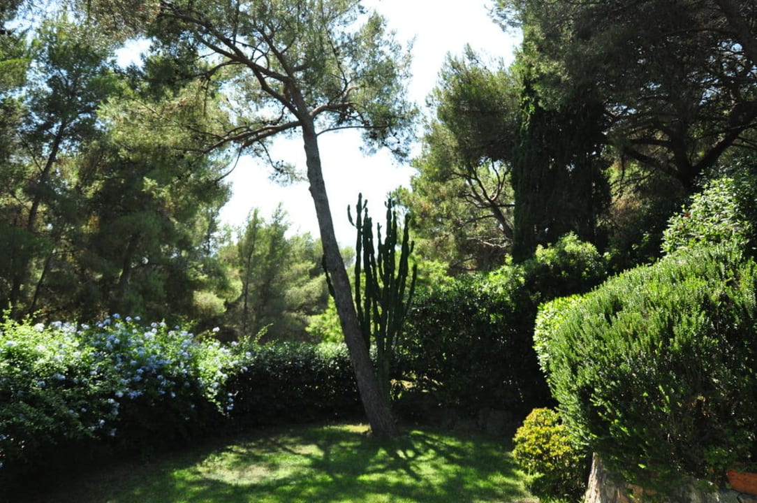 Garten Bed & Breakfast Don Rodrigo