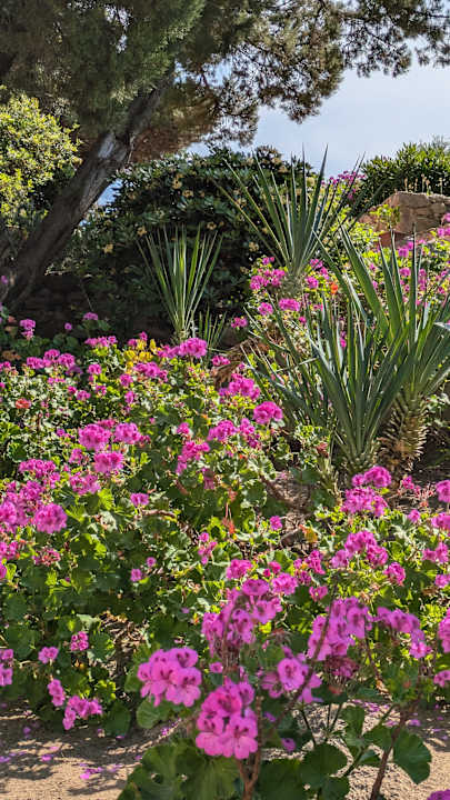 Gartenanlage Hotel Mon Repos