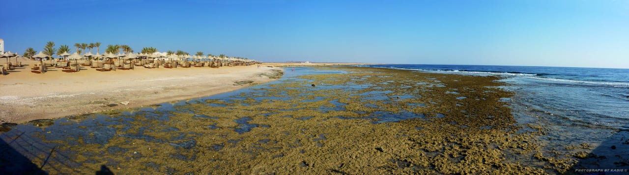 Plaża podczas odpływu Three Corners Sea Beach Resort
