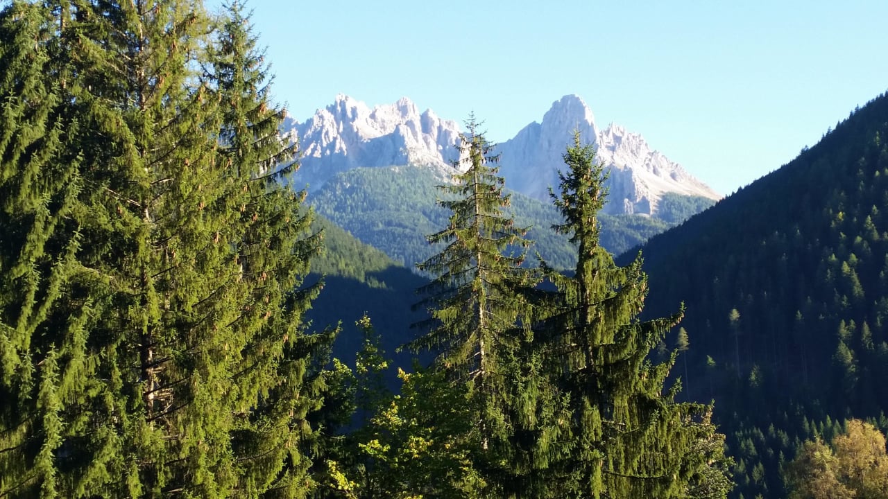 Latemar Aktiv Hotel Schönwald