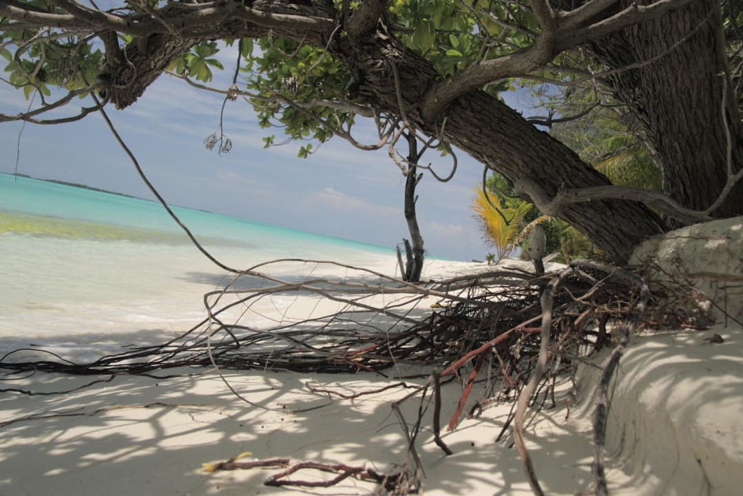 -ohne Worte- Kuredu Island Resort & Spa