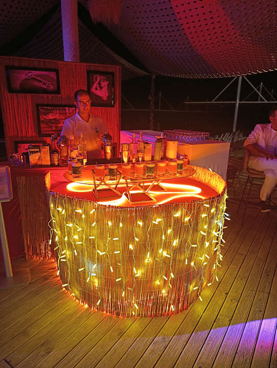 Strand Seashell Vega