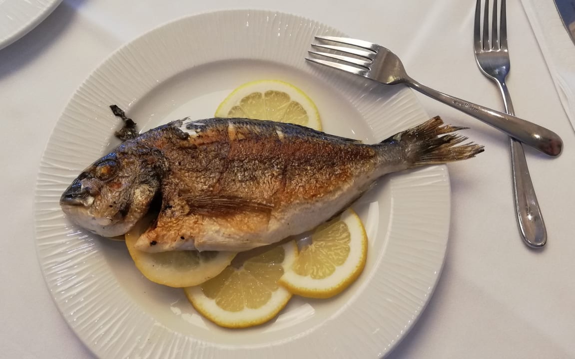 Gastro Atlantica Mikri Poli Kos