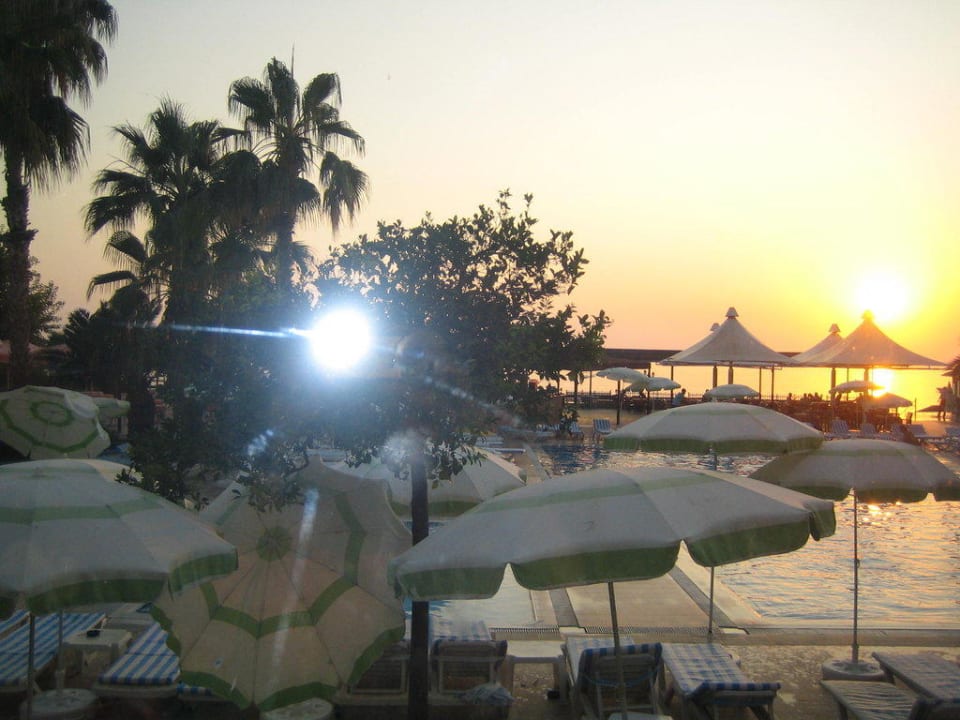 Pool Lonicera Resort & Spa Hotel