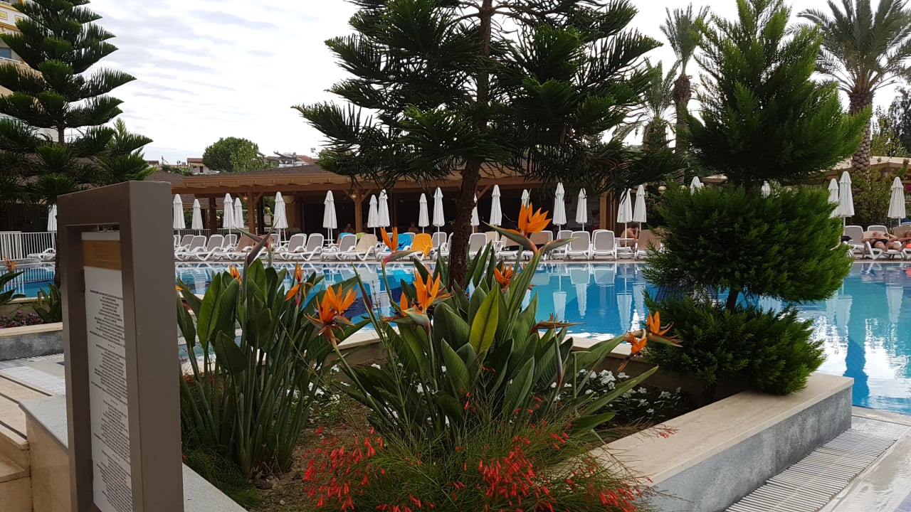 Pool Sidemarin Kirman Premium