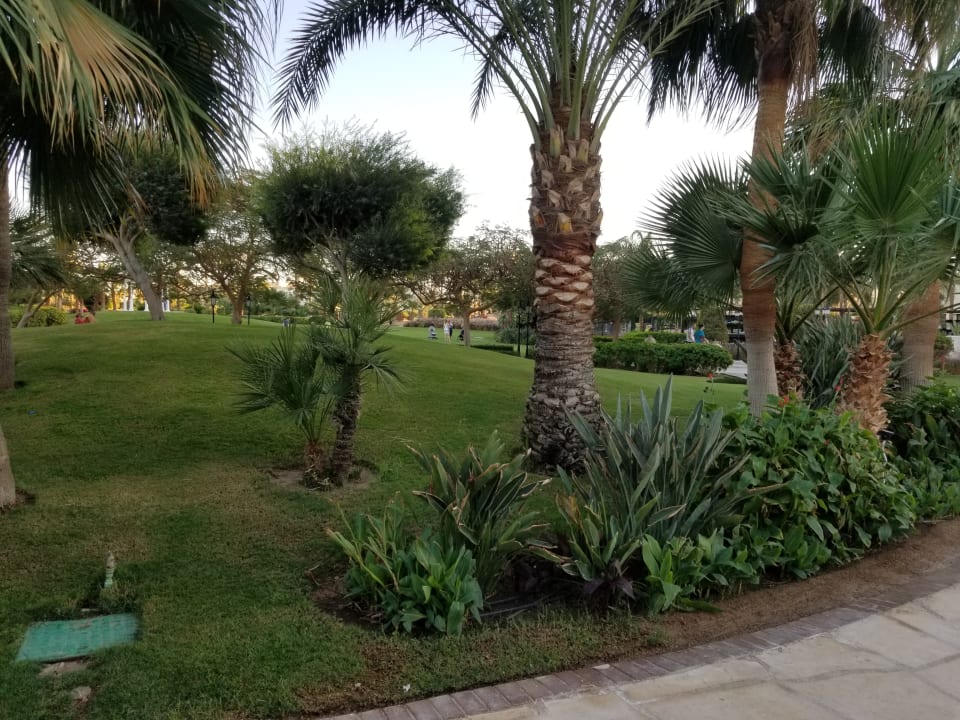 Gartenanlage Steigenberger ALDAU Beach Hotel