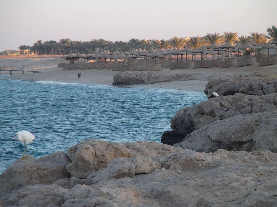 Plaża Three Corners Sea Beach Resort