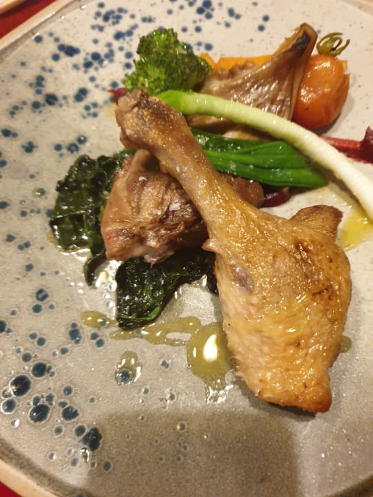 Gastro Acanthus Cennet Barut Collection