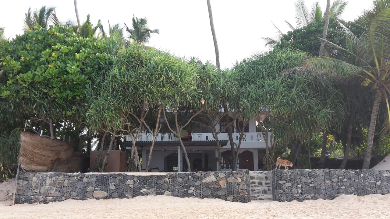 Außenansicht Hotel Haus am Meer Wilde Ananas