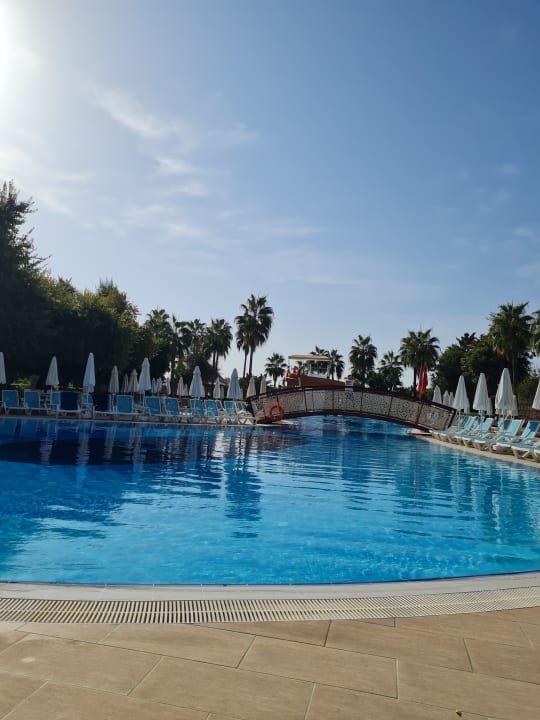 Pool Palmeras Beach Hotel