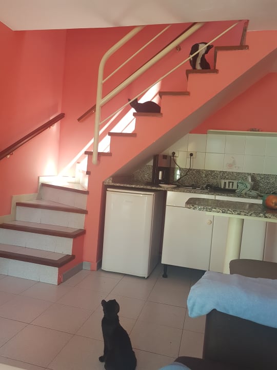 Zimmer Bungalows Vistaflor