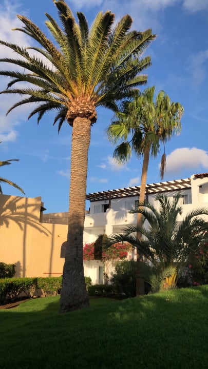 Gartenanlage ROBINSON ESQUINZO PLAYA