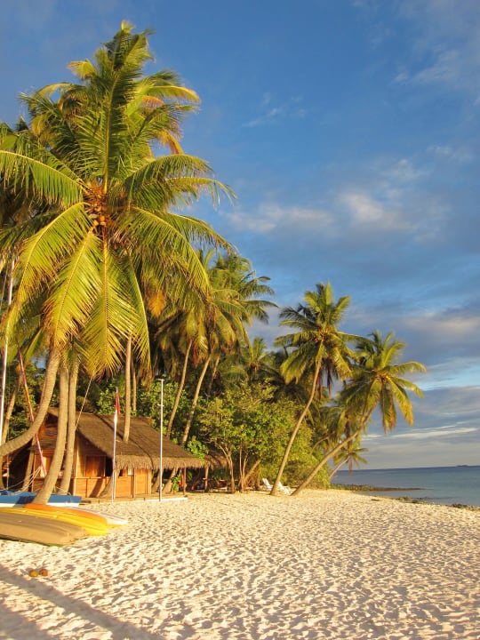 Aeolus Watersport Center Fihalhohi Maldives