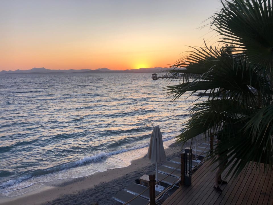 Ausblick TUI MAGIC LIFE Bodrum - Adult Only (16+)