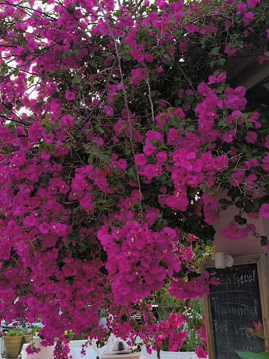 Sonstiges allsun Hotel Malia Beach