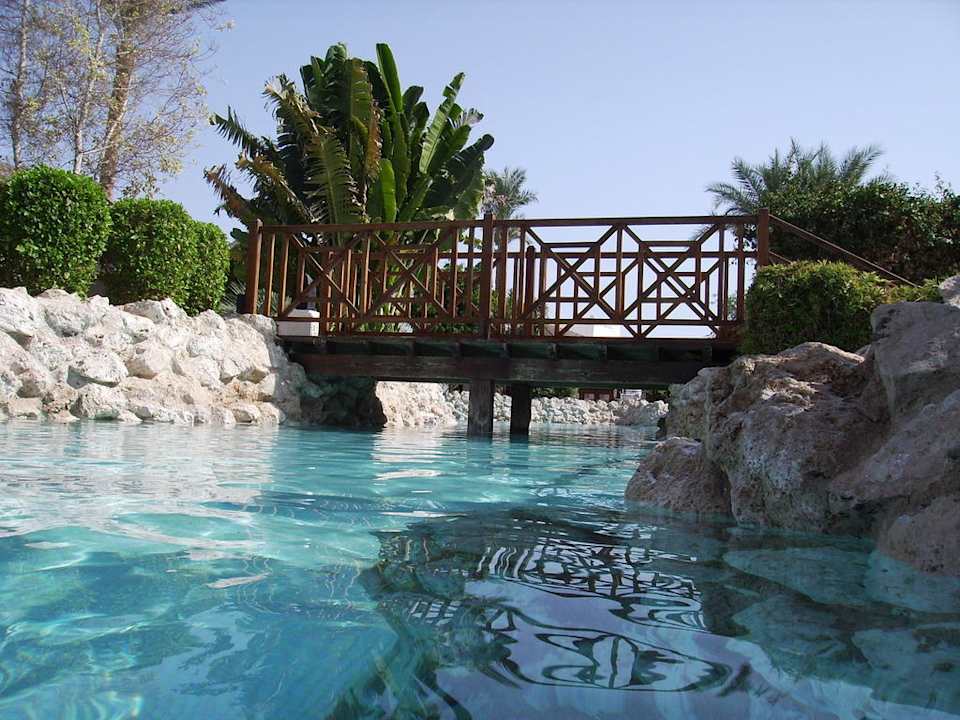 Blick aus dem Pool Ghazala Gardens