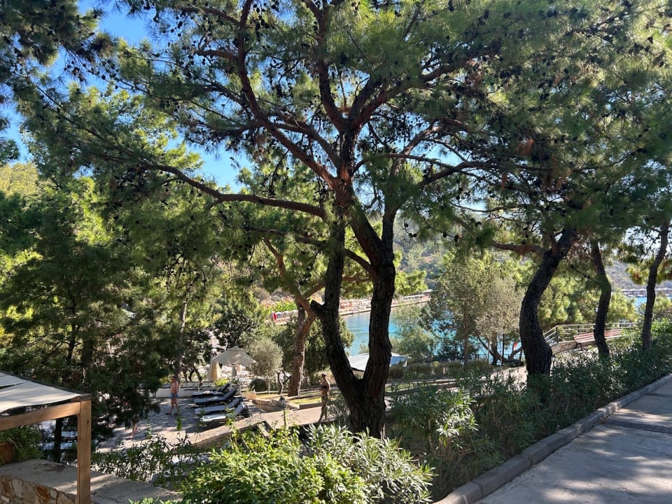 Gartenanlage Bodrum Park Resort