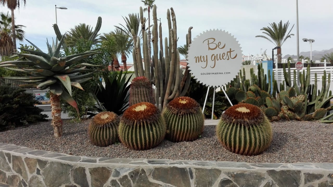 Vor dem Eingang Hotel Gold by Marina