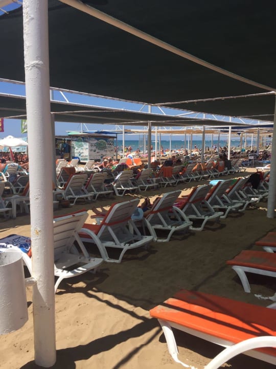 Strandabschnitt vom Hotel Side Alegria Hotel & Spa - Adults only +16