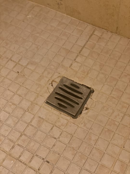 Zimmer Zafiro Mallorca