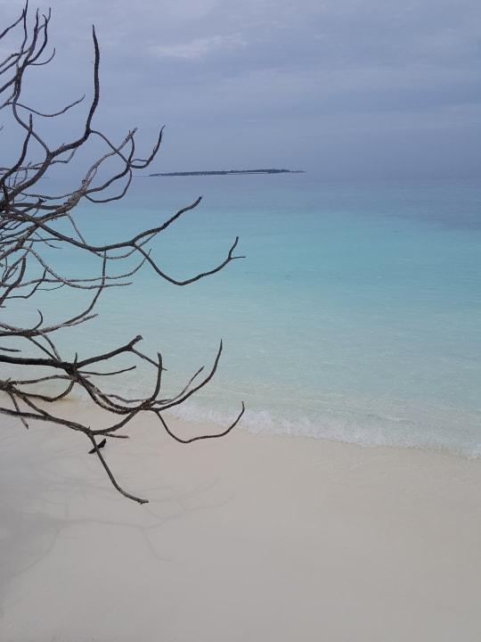 Strand Adaaran Select Meedhupparu Island Resort - Premium All Inclusive