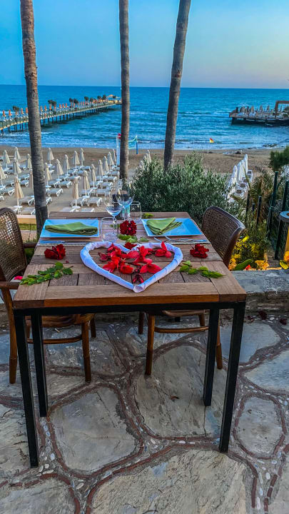 Gastro Arum Barut Collection