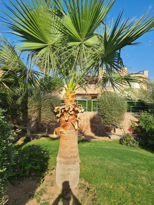 Gartenanlage Shams Prestige Abu Soma-Adults Only