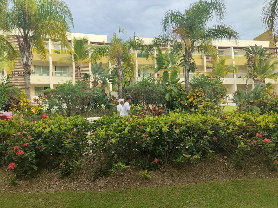 Gartenanlage Dreams Onyx Resort & Spa