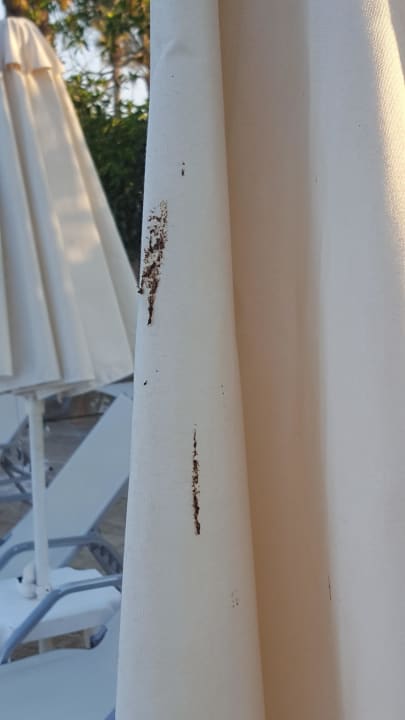 Pool Grecotel LUXME Kos