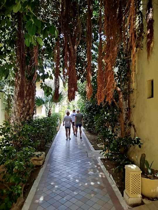 Gartenanlage Hotel Paradis Palace